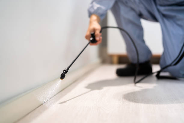 Licensed Termite Control service in Dodge County County, WI - Nex Pest Control
