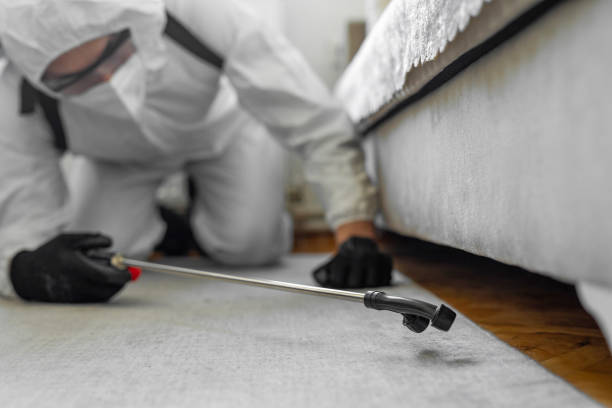 Professional Termite Control technician working in Dodge County County, WI